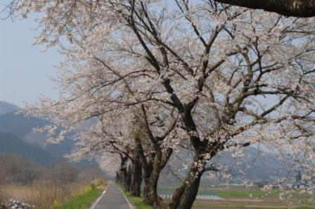 ����̍�����