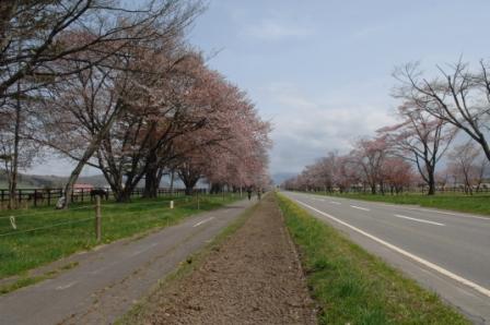 �����؁E��\��ԓ�